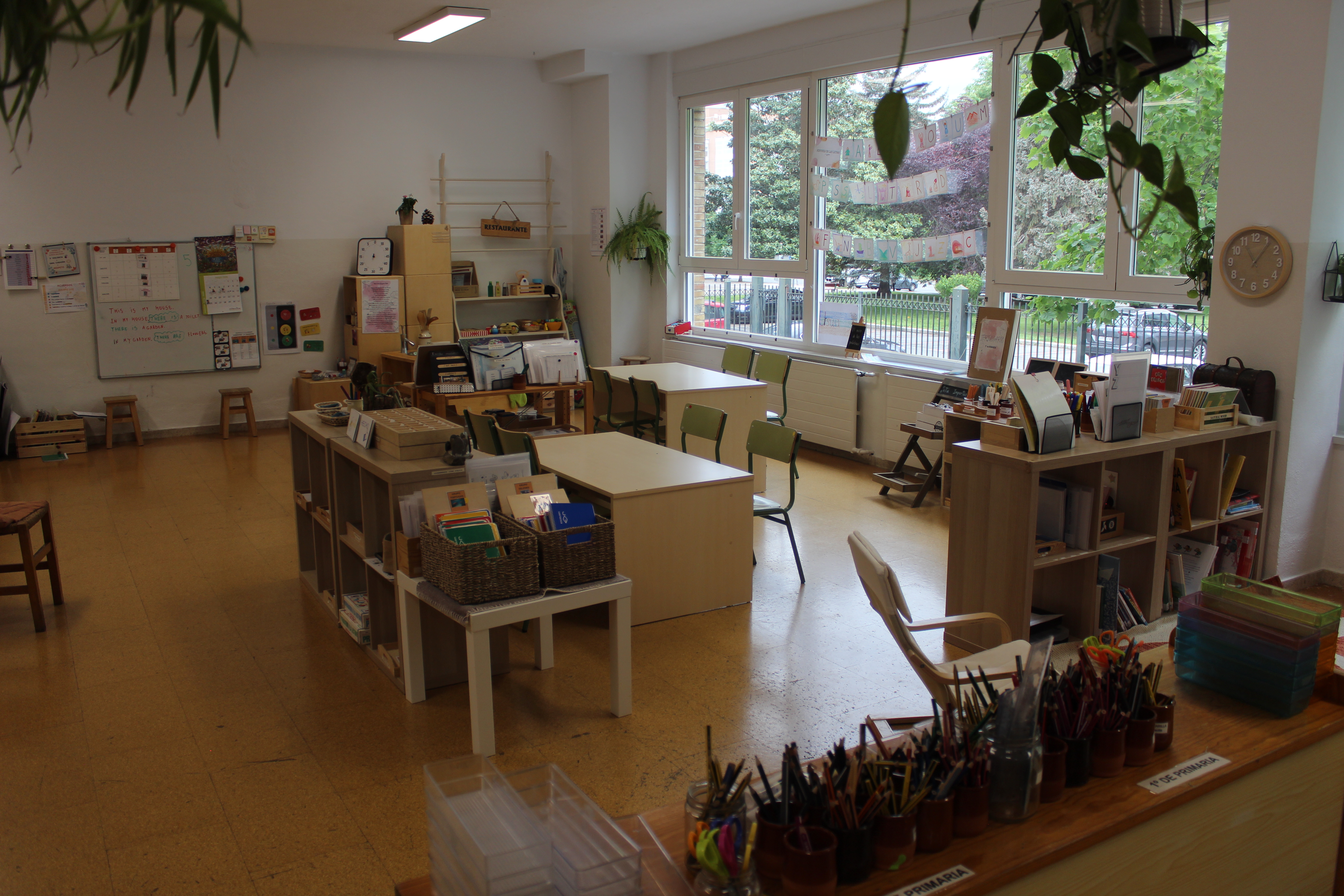 Ambiente Lengua 1er ciclo